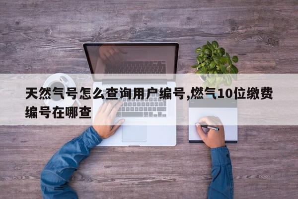天然气号怎么查询用户编号,燃气10位缴费编号在哪查