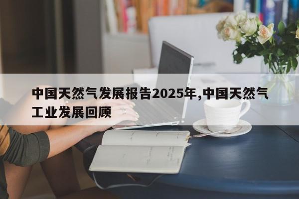 中国天然气发展报告2025年,中国天然气工业发展回顾
