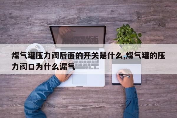 煤气罐压力阀后面的开关是什么,煤气罐的压力阀口为什么漏气