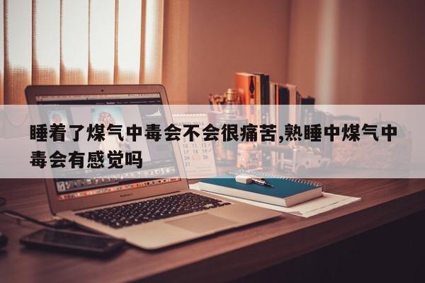 睡着了煤气中毒会不会很痛苦,熟睡中煤气中毒会有感觉吗