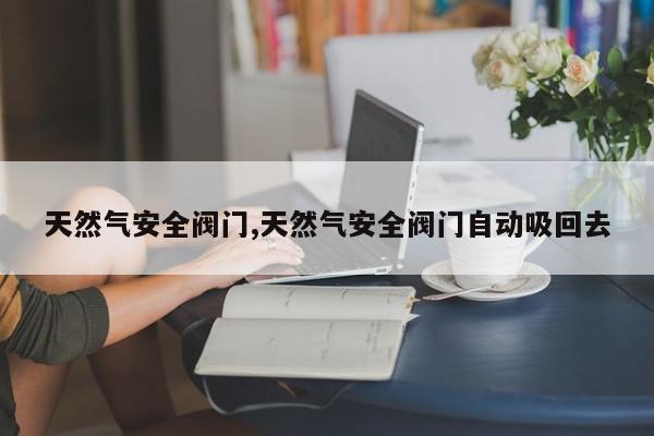 天然气安全阀门,天然气安全阀门自动吸回去