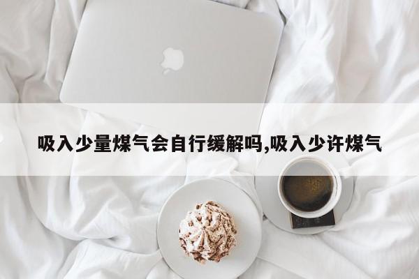 吸入少量煤气会自行缓解吗,吸入少许煤气