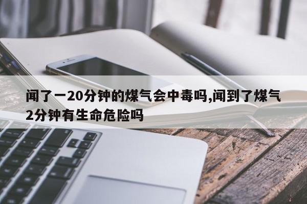 闻了一20分钟的煤气会中毒吗,闻到了煤气2分钟有生命危险吗