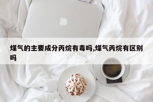 煤气的主要成分丙烷有毒吗,煤气丙烷有区别吗