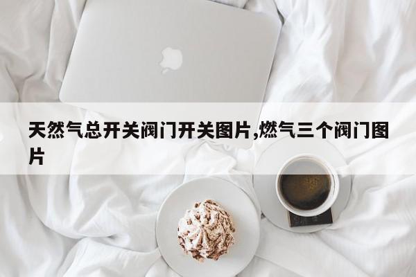 天然气总开关阀门开关图片,燃气三个阀门图片
