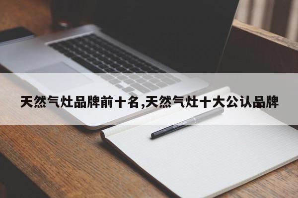 天然气灶品牌前十名,天然气灶十大公认品牌