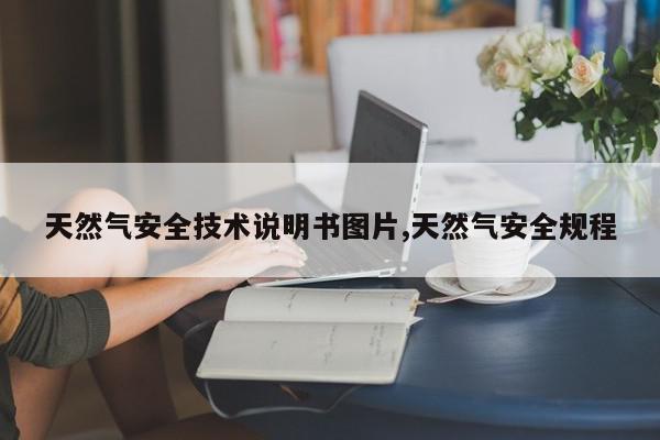 天然气安全技术说明书图片,天然气安全规程
