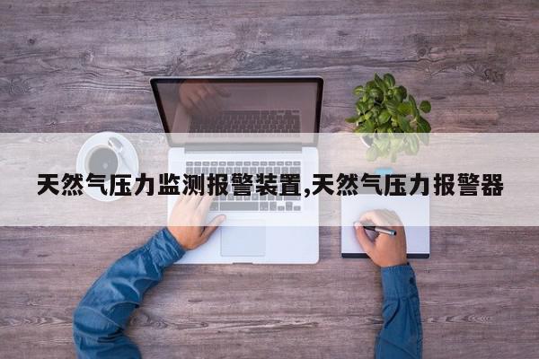 天然气压力监测报警装置,天然气压力报警器