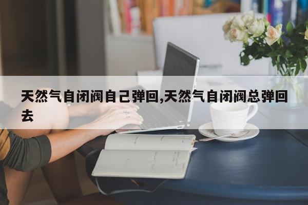 天然气自闭阀自己弹回,天然气自闭阀总弹回去