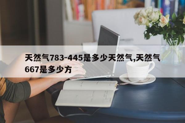 天然气783-445是多少天然气,天然气667是多少方