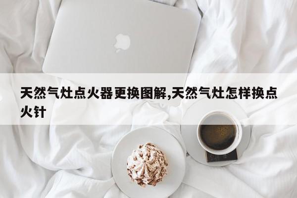 天然气灶点火器更换图解,天然气灶怎样换点火针