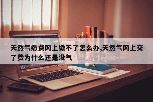 天然气缴费网上缴不了怎么办,天然气网上交了费为什么还是没气
