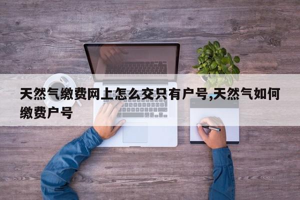 天然气缴费网上怎么交只有户号,天然气如何缴费户号