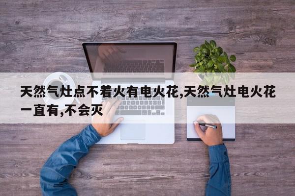 天然气灶点不着火有电火花,天然气灶电火花一直有,不会灭