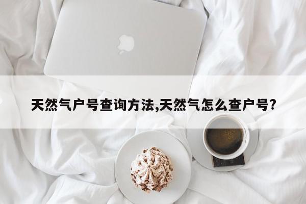 天然气户号查询方法,天然气怎么查户号?