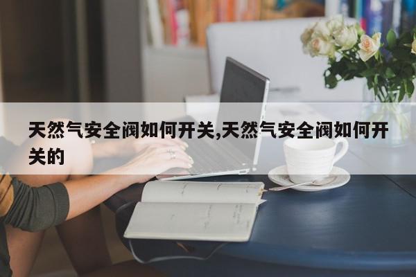 天然气安全阀如何开关,天然气安全阀如何开关的