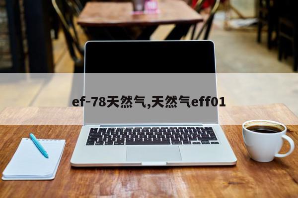 ef-78天然气,天然气eff01