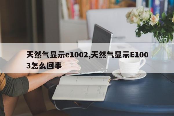 天然气显示e1002,天然气显示E1003怎么回事