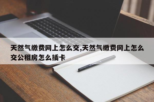 天然气缴费网上怎么交,天然气缴费网上怎么交公租房怎么插卡