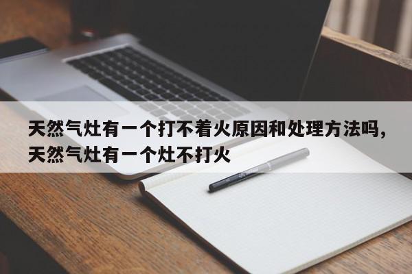 天然气灶有一个打不着火原因和处理方法吗,天然气灶有一个灶不打火