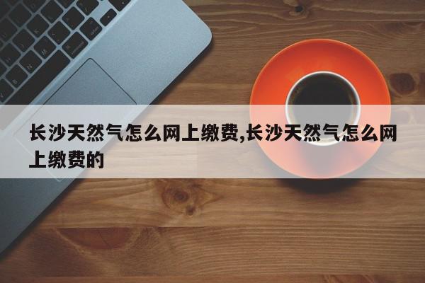 长沙天然气怎么网上缴费,长沙天然气怎么网上缴费的