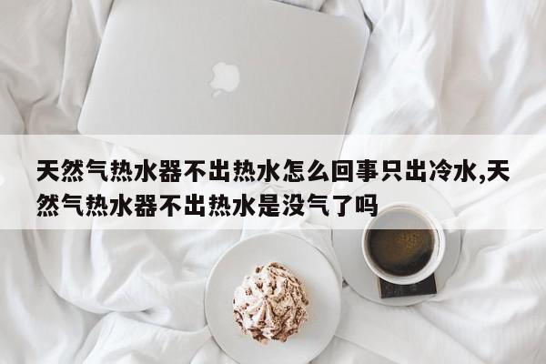 天然气热水器不出热水怎么回事只出冷水,天然气热水器不出热水是没气了吗
