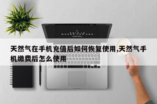 天然气在手机充值后如何恢复使用,天然气手机缴费后怎么使用