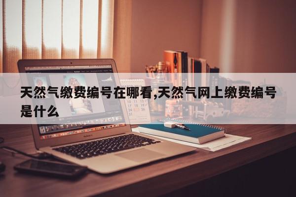 天然气缴费编号在哪看,天然气网上缴费编号是什么
