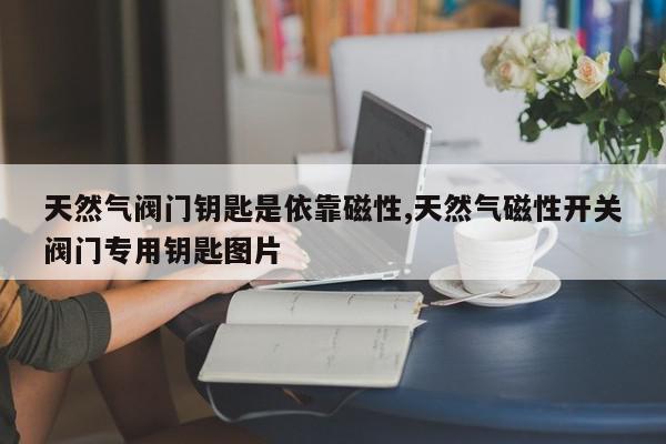 天然气阀门钥匙是依靠磁性,天然气磁性开关阀门专用钥匙图片