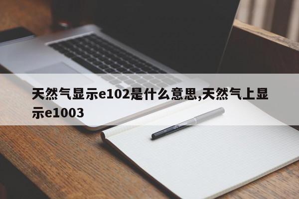 天然气显示e102是什么意思,天然气上显示e1003