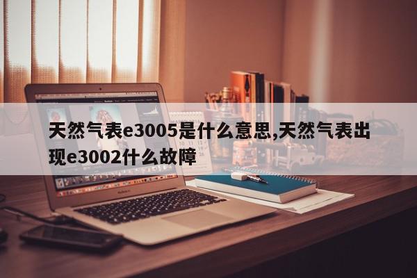 天然气表e3005是什么意思,天然气表出现e3002什么故障