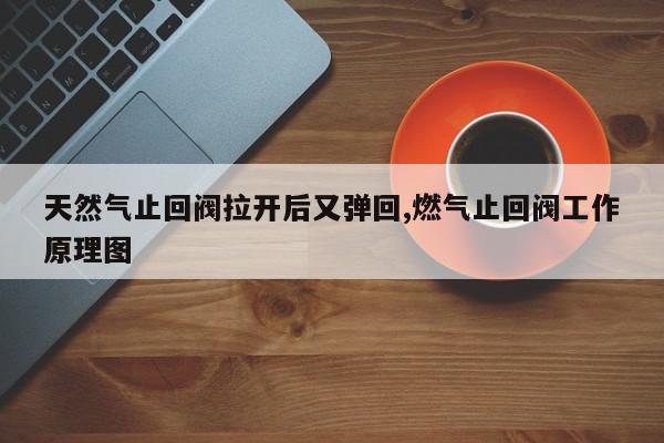 天然气止回阀拉开后又弹回,燃气止回阀工作原理图