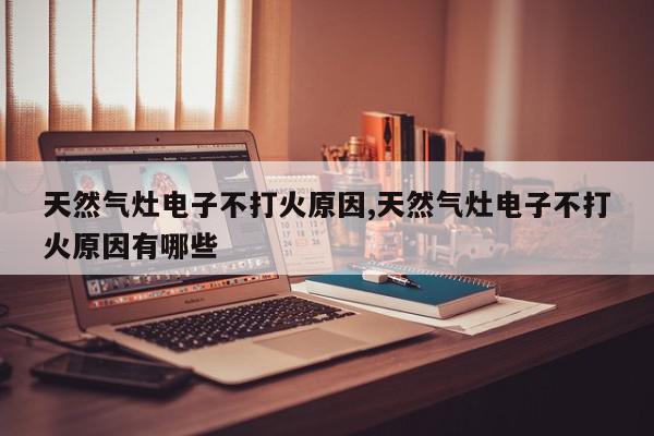 天然气灶电子不打火原因,天然气灶电子不打火原因有哪些