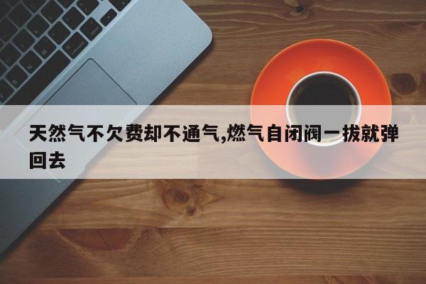 天然气不欠费却不通气,燃气自闭阀一拔就弹回去